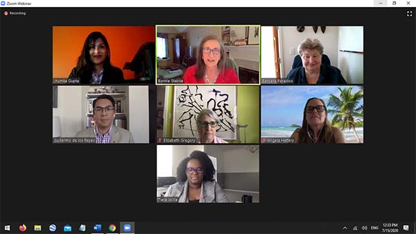 COVID-19-Are-Domestic-Violence-Issues-a-By-Product-of-the-Pandemic-Lockdown-webinar-screenshot.jpg