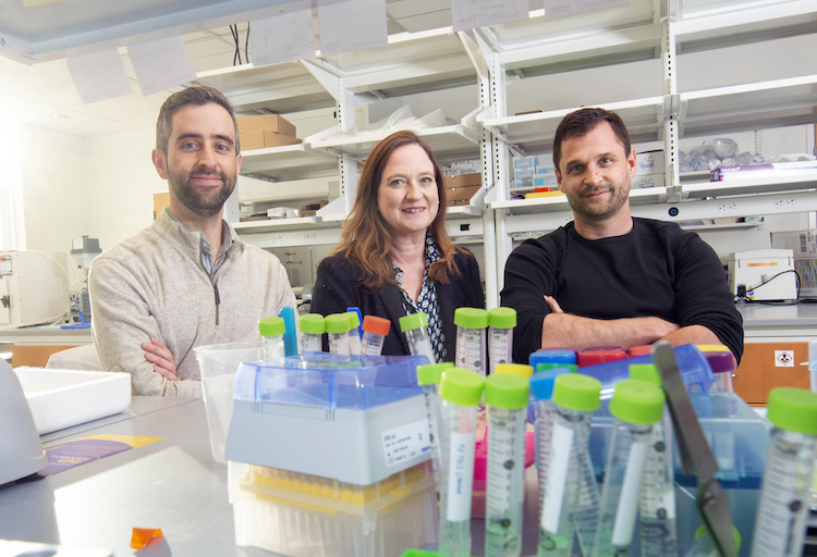 two men and one woman in a lab