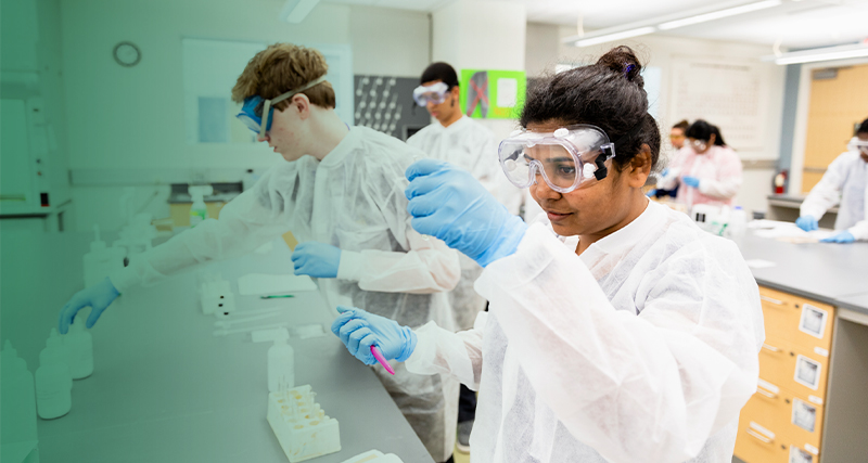 Students work side by side testing materials in a lab