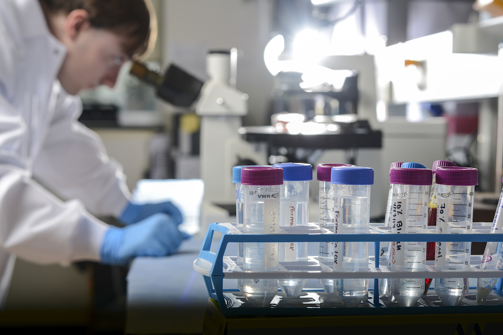 student looking in a microscrope in a lab