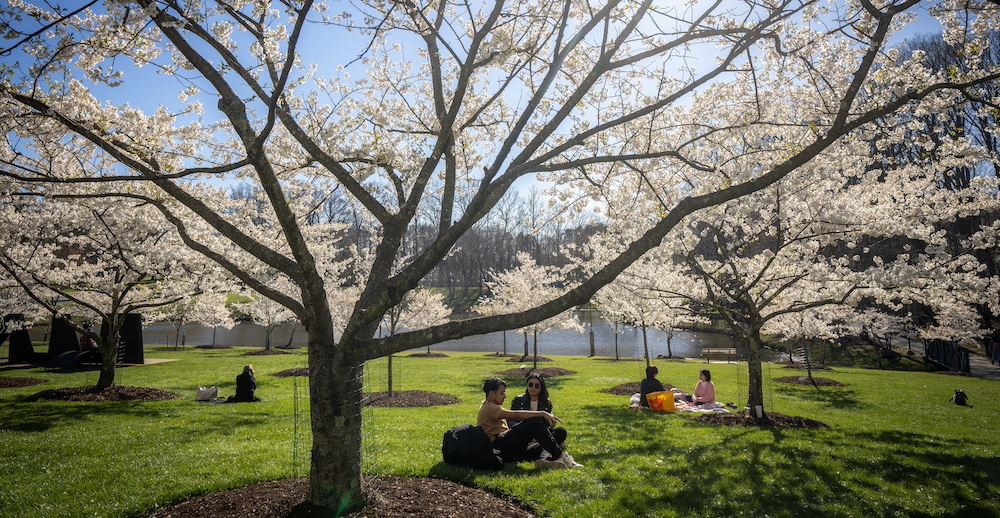 mason students by the pond