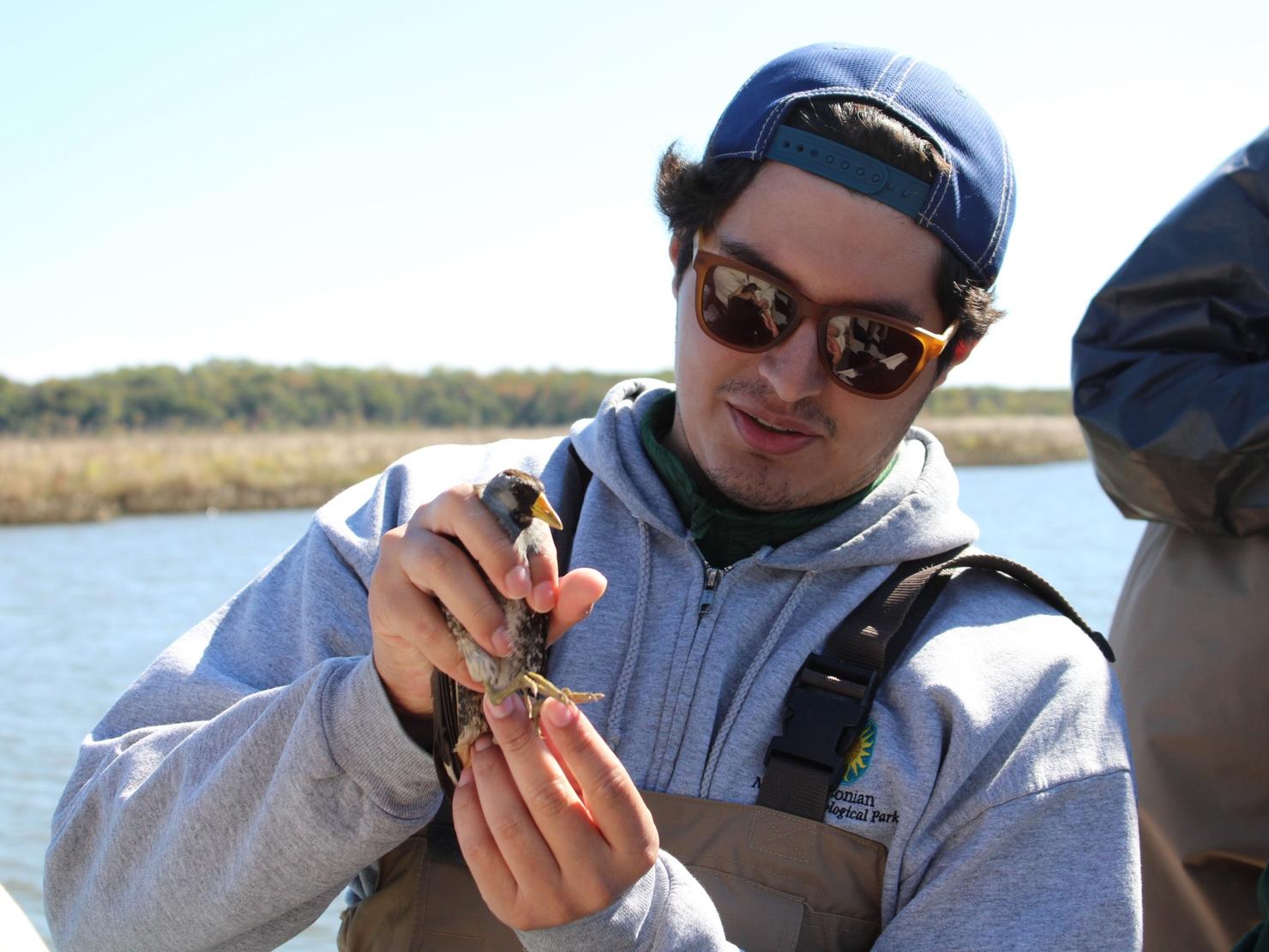 Student holds a marsh bird on a field trip