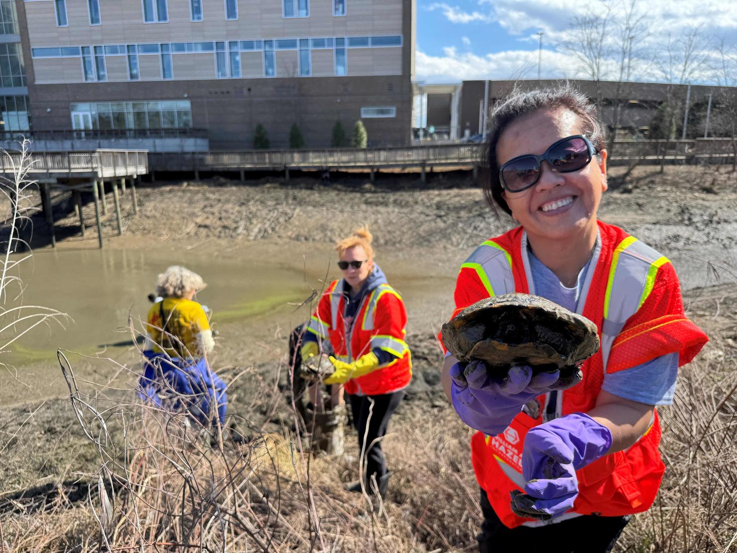 Volunteers form a chain to pass the turtles up from the bottom of the pond. A volunteer holds a turtle and smiles
