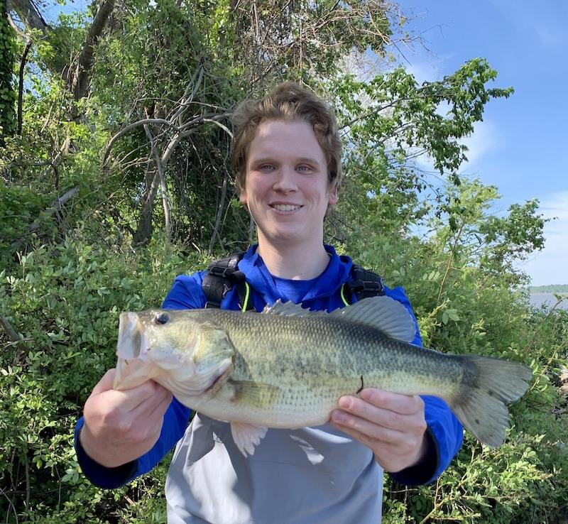 Chase Brown