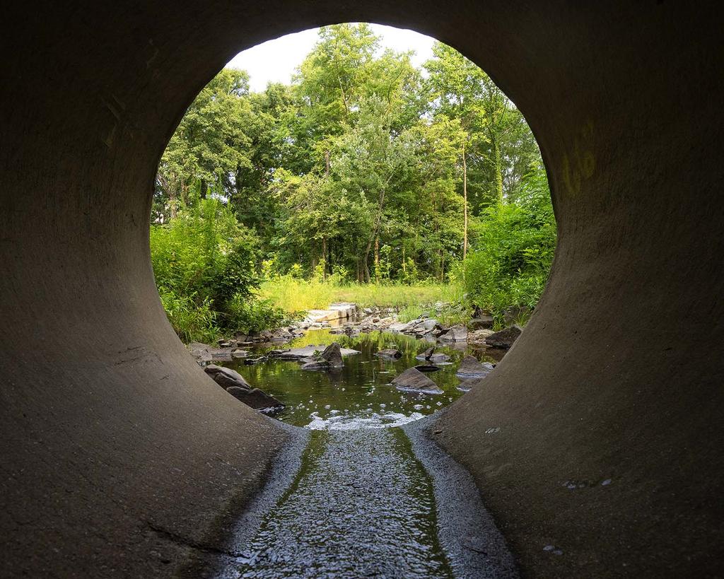 looking through a tunnel to a stream on Mason's Fairfax campus