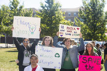 Fridays for the Future 2019