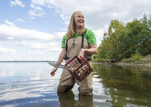 Amy Fowler standing in the water by a shoreline, holding a crate of crabs.