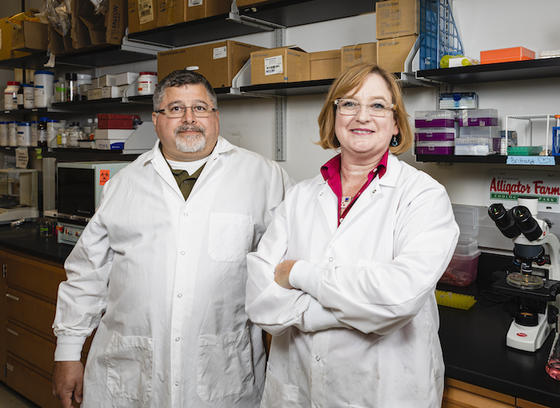 Researchers who sequenced Komodo Dragon blood in an effort to develop new therapies for resistant infections such as MRSA