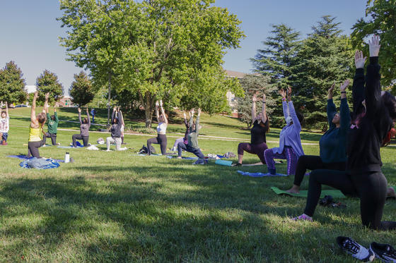 Yoga Day 2022