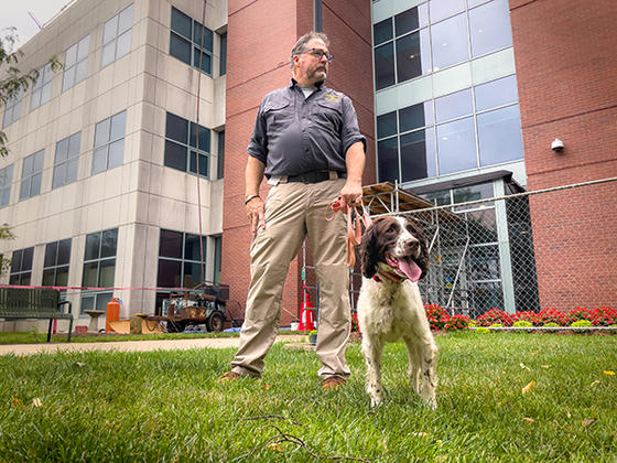 Jay King of Chesapeake Search Dogs with Skyler the spaniel
