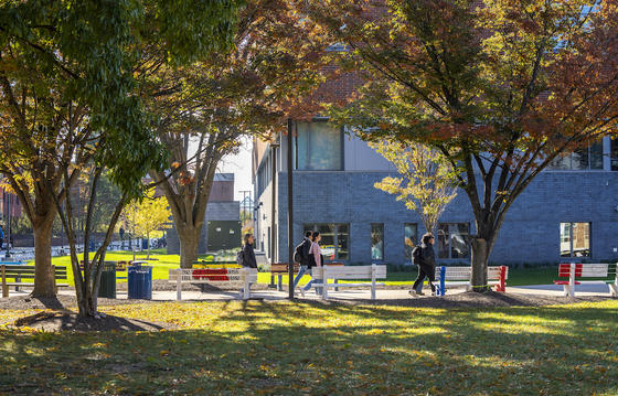 fall campus with leaves