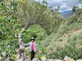 Betsy Collins stands by a tree.