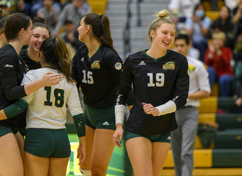 volleyball players on the court