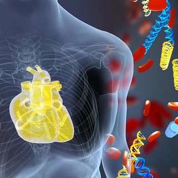 An illustration shows DNA floating around a torso with heart and other internal body parts visible
